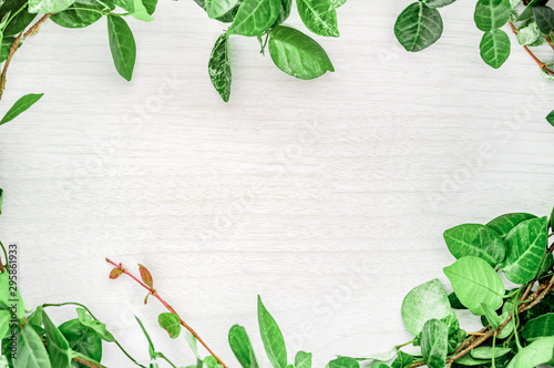 観葉植物と木目のフレーム