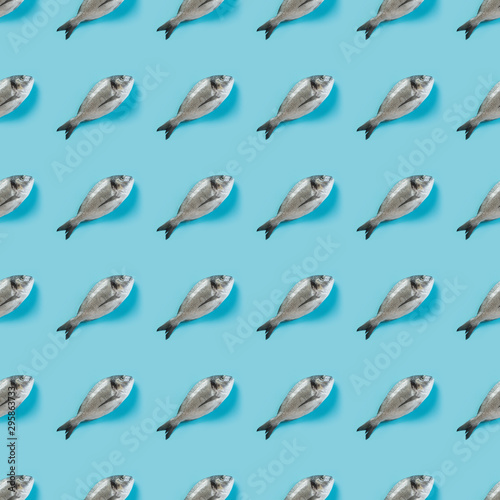 Fish pattern of dorado on pastel blue. Collage, pop art concept, minimal design. View from above.