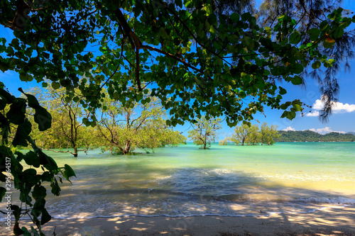 Wild tropical Thai beach