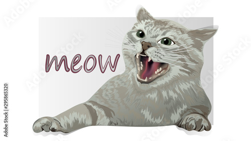 Cute cat, meow. Vector illustration. EPS 10.
