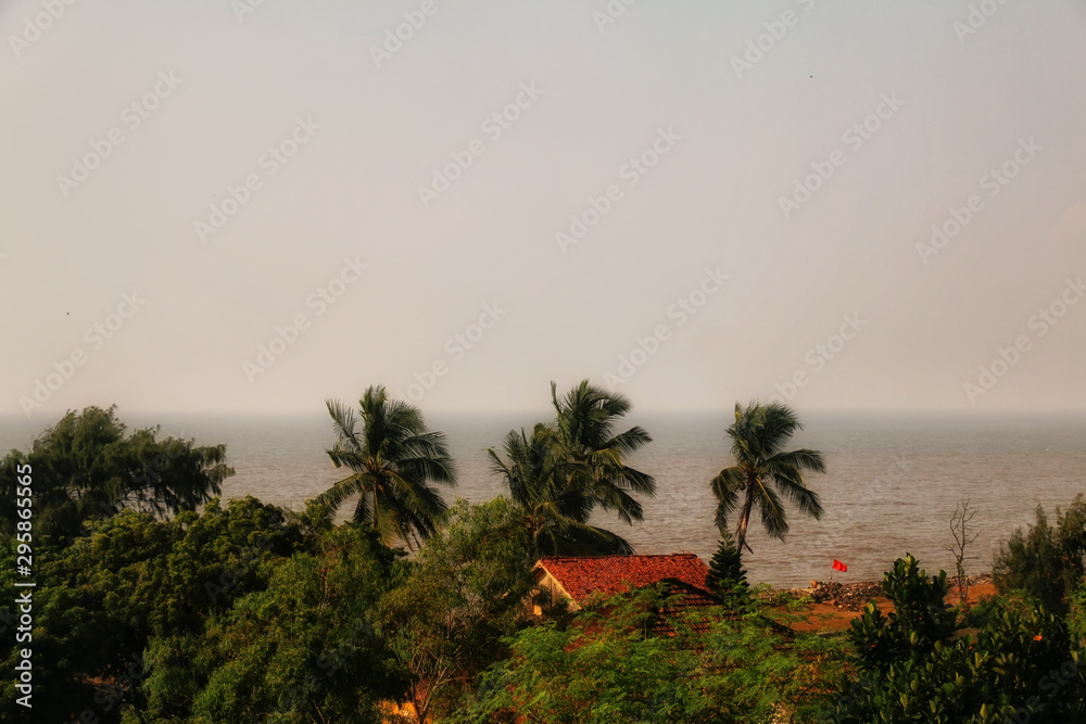 Coconut trees and old house in the center of nature near beach