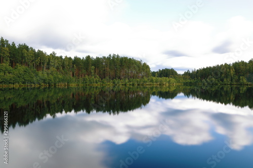 Picturesque bright landscape with the view of the corner of the forest lake
