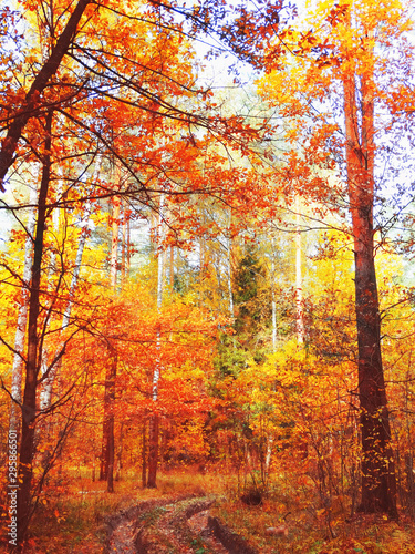 autumn landscape forest with yellow red leaves with sunny light beams © Anastasia Tsarskaya