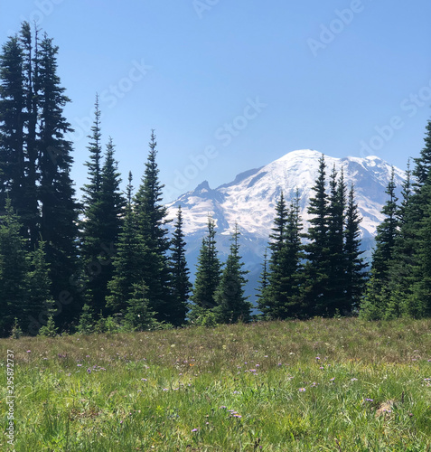 Mountain Rainier in the distance