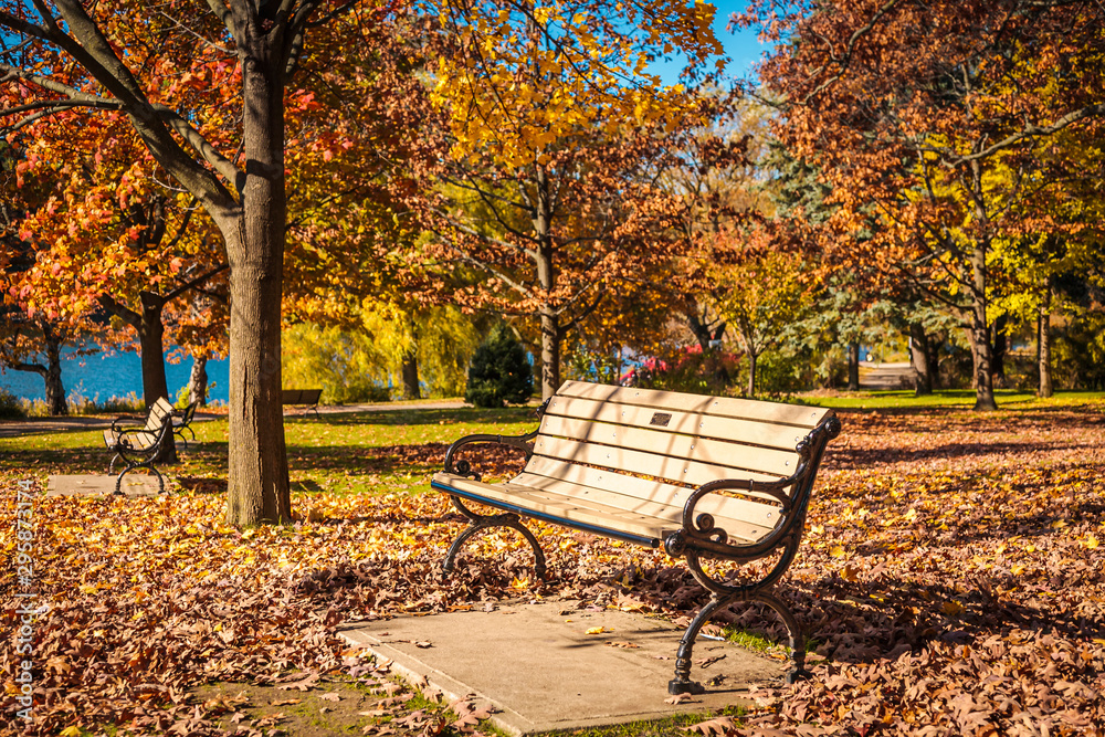 High Park, Toronto, Canada, Nov 2011 - Benches and the fallen leaves of autumn