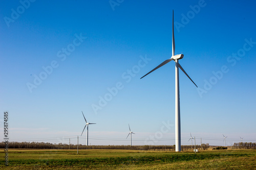 Wallpaper Mural wind turbines in the field Torontodigital.ca