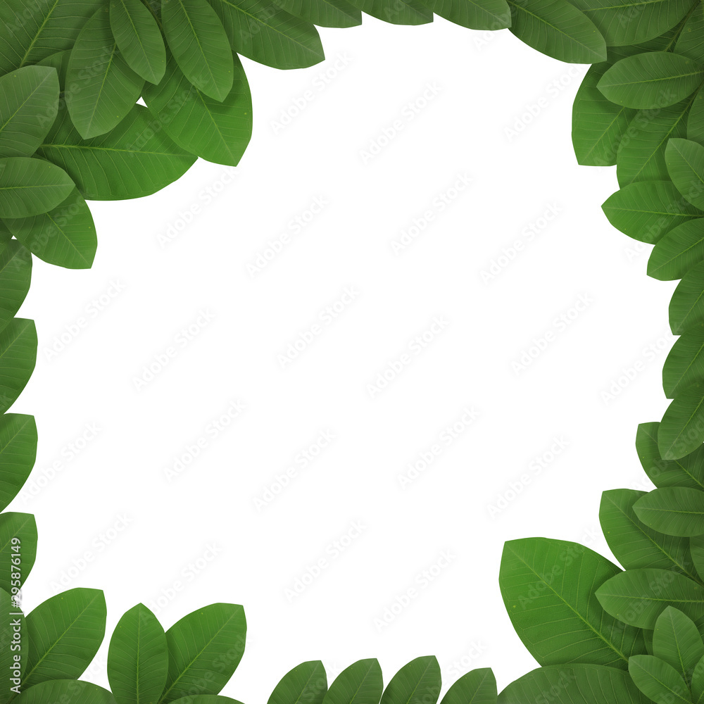 Green Leaves Frame isolated on white background, for concept Save the World. 