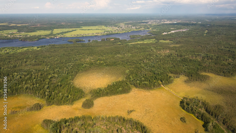 Delta river and pine forests from a bird's eye view.