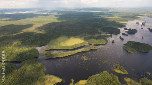 Delta river and pine forests from a bird s eye view.