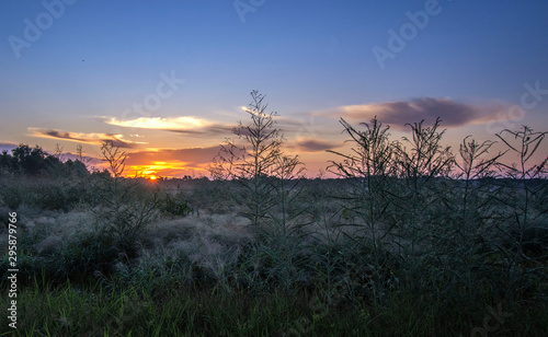 The prairie at sunrise!