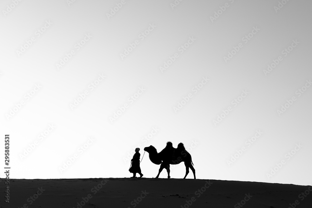 Mongolian nomadic woman with her bactrian camel in desert dunes at sunrise. Gobi desert, Mongolia.