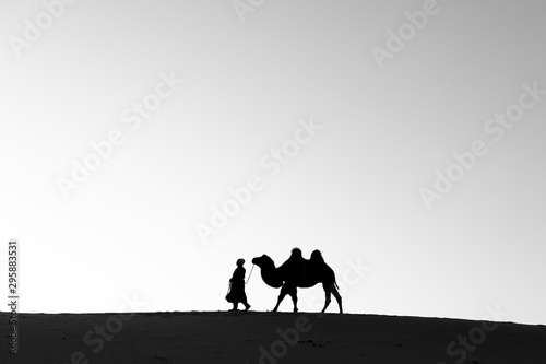 Mongolian nomadic woman with her bactrian camel in desert dunes at sunrise. Gobi desert, Mongolia.