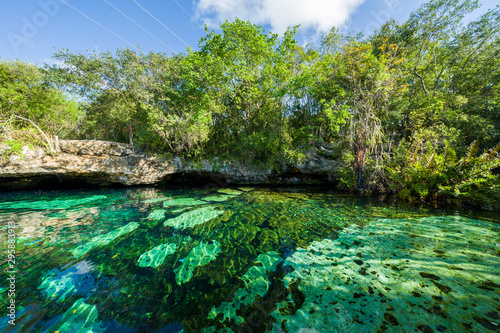 Cenote Azul, Riviera Maya, Playa Del Carmen, Mexico photo