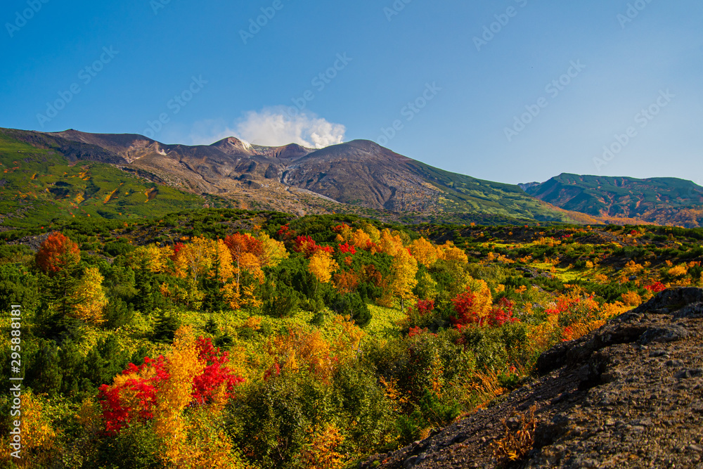 山の紅葉