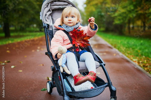 Adorable little girl in pushchair with red maple leaves