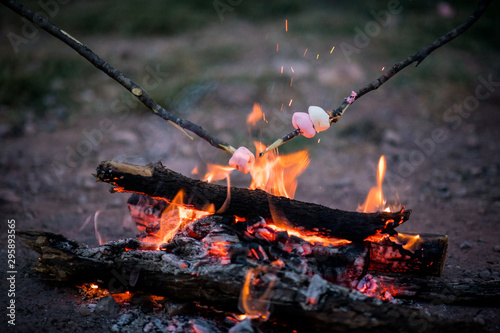 Marshmallows at the Campfire