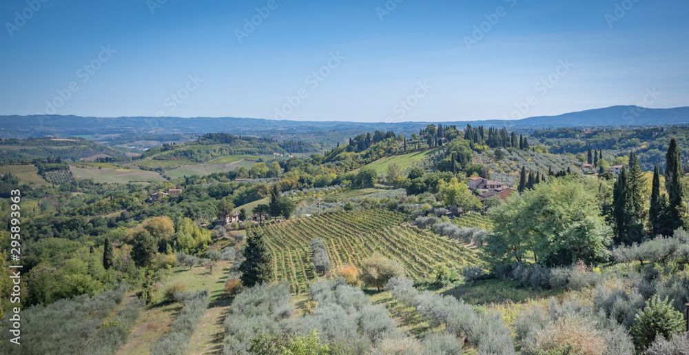 Naklejka premium Toskana, Landschaft und Weinberge im Spätsommer