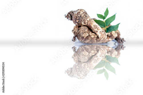 Close up of rare vegetable i.e. roots of jack fruit or Jackfruit roots isolated on white also known as kathal or kathal ki chal or kathal ki gad or kathal ki jed with raw fresh leaves.