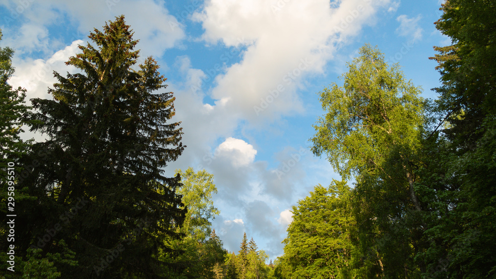 Obraz premium Vitosha Natural Park near Sofia, Bulgaria. The Golden Bridges area. Natural landscape
