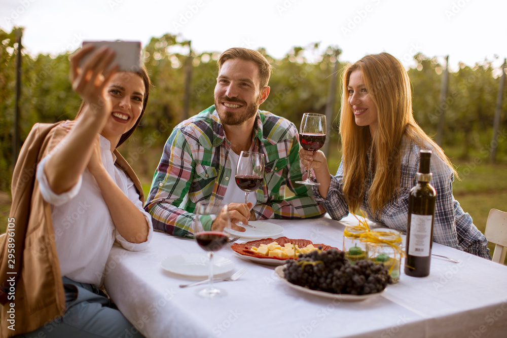 Group of young people sitting by the table and drinking red wine in the vineyard