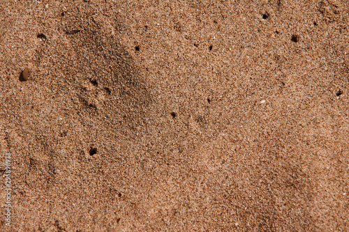 Mediterranenan Sand Texture #2 photo