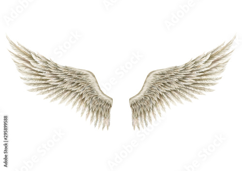Tableau sur toile Wings of Angel
