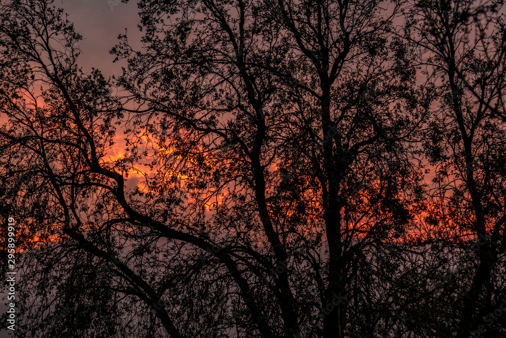 A fiery sunset in the mountains over looking a valley in central Chile. A fiery sunset in the mountains over looking a valley in central Chile.
