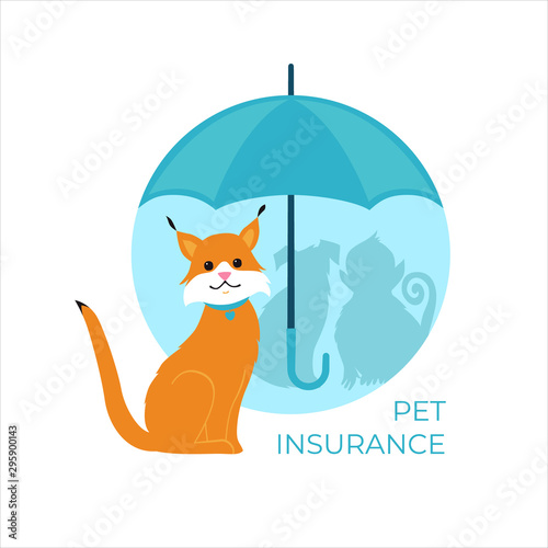 Cat under an umbrella. Pet and Animal insurance concept. Vector illustration.