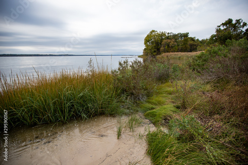 patuxent river shoreline in calvert county maryland overcast sky photo