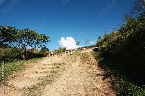 Natural footpath and grassland in forest on the valley mountain with blue sky at Phu Chee Fah hill northern of Thailand