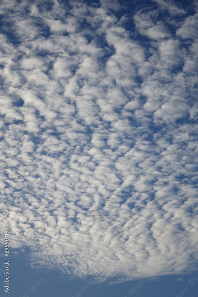 Spindrift clouds, abstract natural background Spindrift clouds, abstract natural background