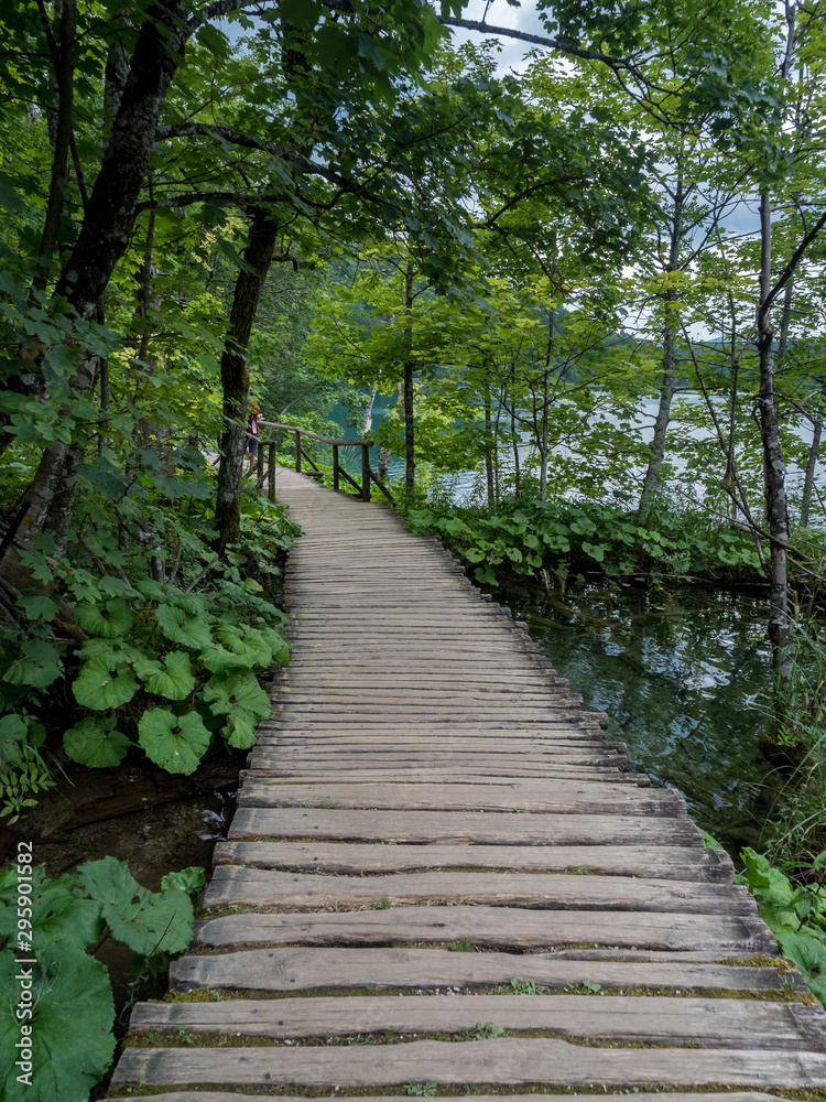 Croatia, august 2019: Picturesque view of Plitvice National Park. Colorful summer scene of green forest with pure water waterfall. Great countryside landscape of Croatia.