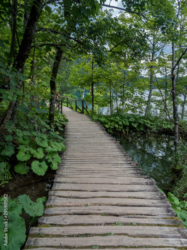 Croatia  august 2019  Picturesque view of Plitvice National Park. Colorful summer scene of green forest with pure water waterfall. Great countryside landscape of Croatia.