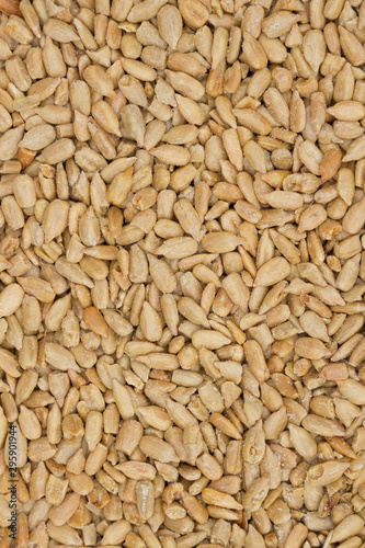 Healthy salted sunflower seeds background