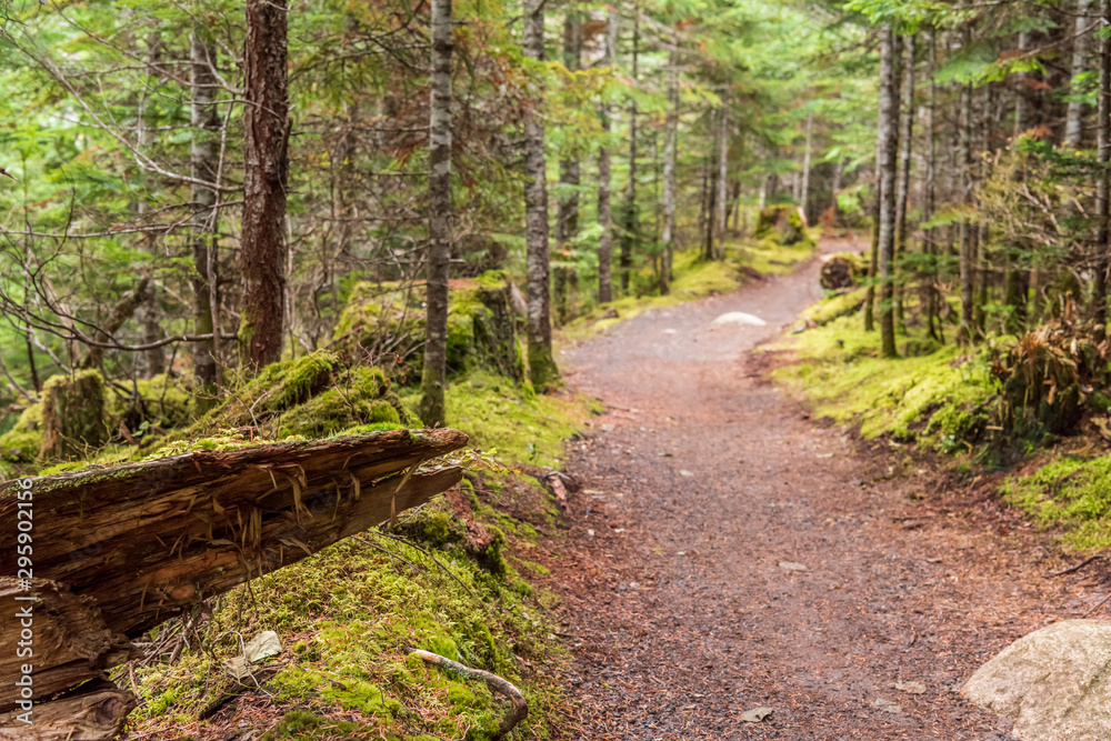 View at Mountain Trail in British Columbia, Canada. Mountains Background.