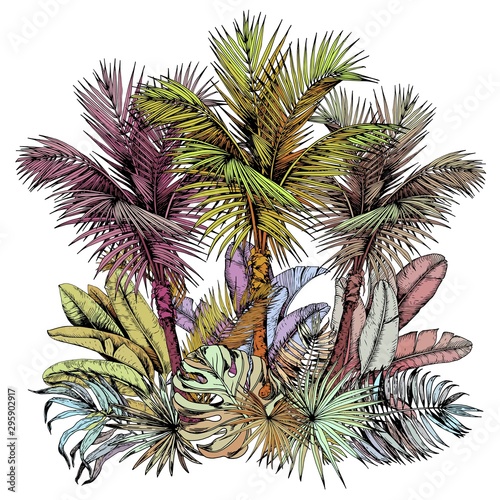 Colorful tropical foliage. Oasis scenery. Hand drawn vector illustration isolated on white background.