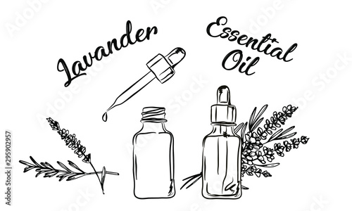 Lavander essential oil bottle  and bunch of flowers hand drawn vector illustration. Isolated drawing for Aromatherapy treatment, alternative medicine, beauty and spa, cosmetic ingredient.