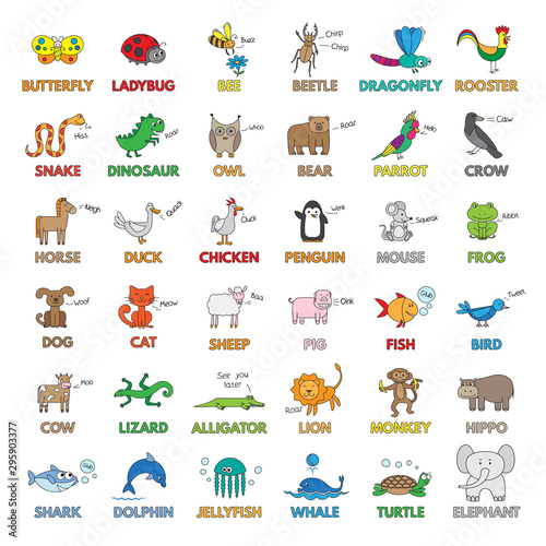 Cartoon Animals for Children Education