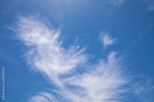 Feather shaped cirrus clouds against a bright blue sky © Jason Busa