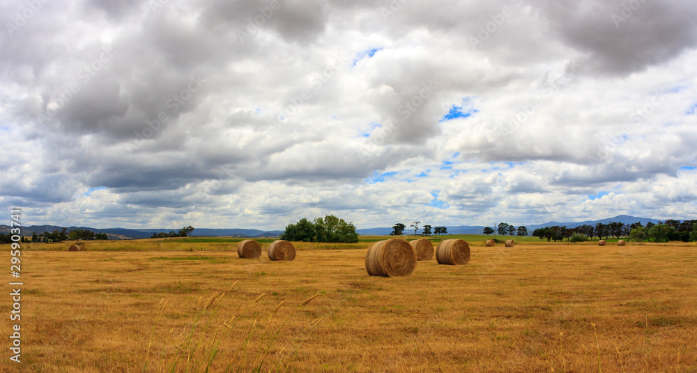 Ripe haystacks of wheat on the field, rural autumn landscape