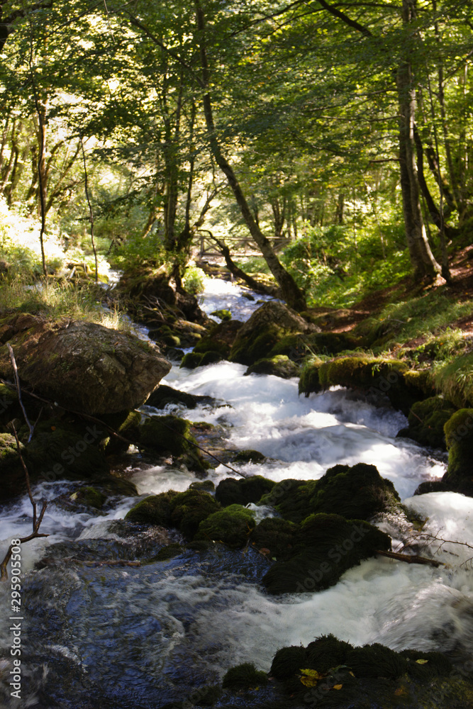 Obraz premium Mountain summer landscape. Canyon in Montenegro. 