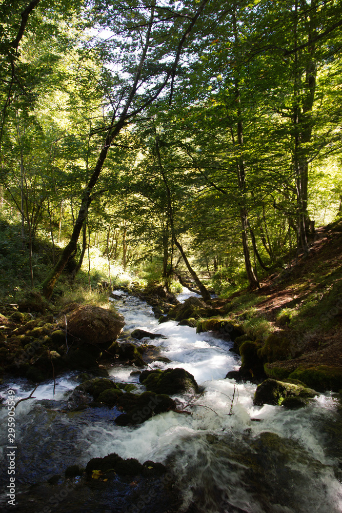 Mountain summer landscape. Canyon in Montenegro. Mountain summer landscape. Canyon in Montenegro.