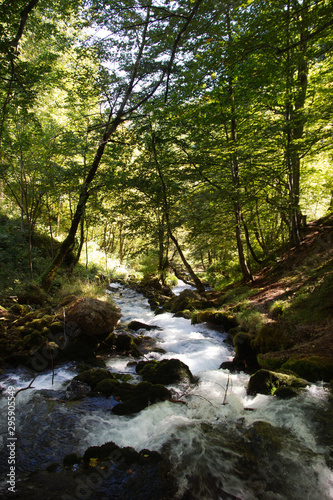 Mountain summer landscape. Canyon in Montenegro.	
