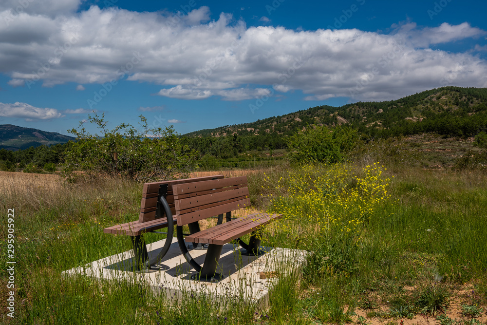 Closeup view of a wood bench isolated on the nature during a summer day with a big blue sky - Image Closeup view of a wood bench isolated on the nature during a summer day with a big blue sky - Image