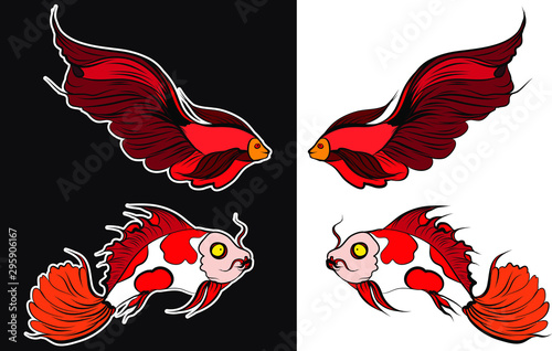 beautiful fish vector.Thai beta fish with cherry blossom vector.Sakura flower with Fighting fish coloring book. 