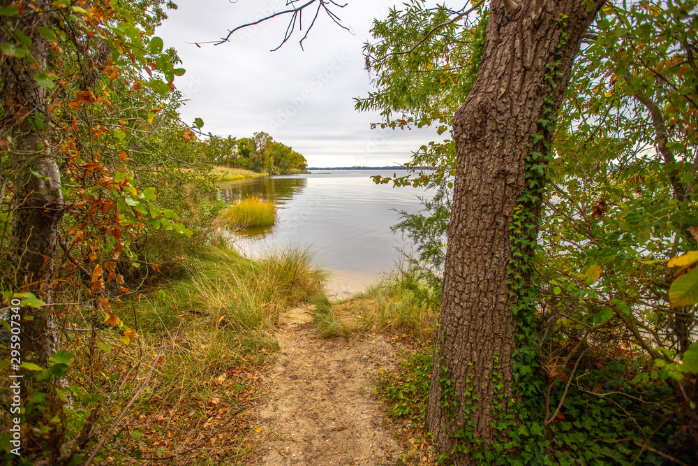 path to the patuxent river in calvert county southern maryland usa path to the patuxent river in calvert county southern maryland usa
