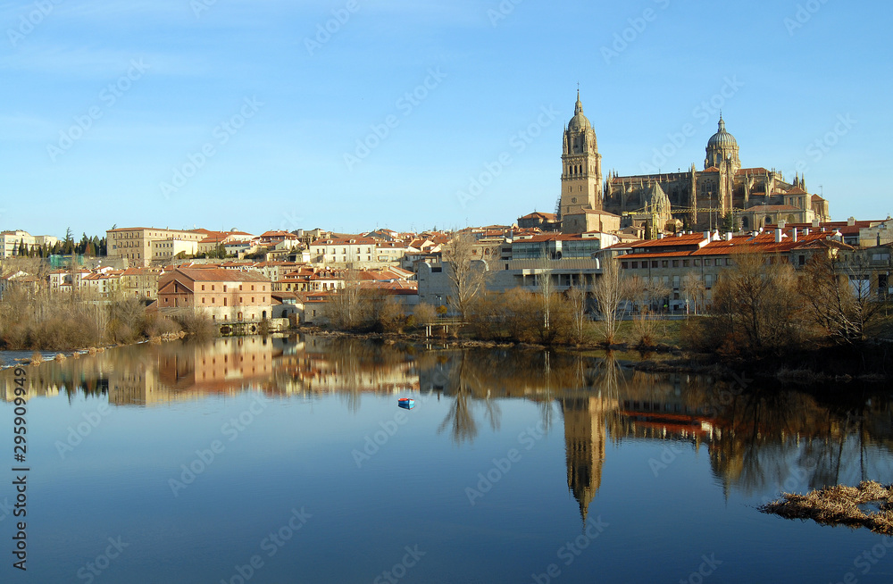 Views and places of Salamanca. Spain