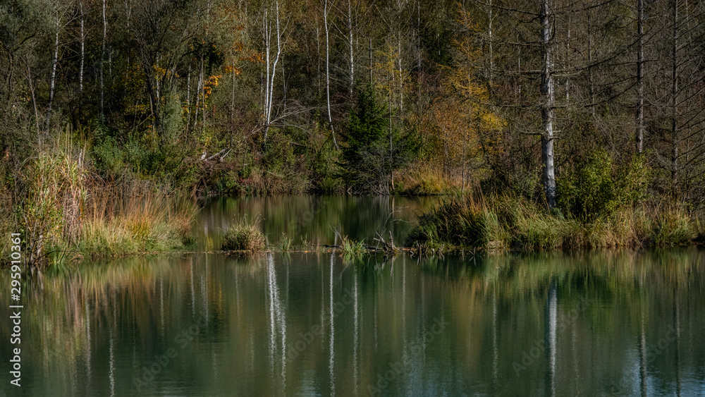 Herbstwald