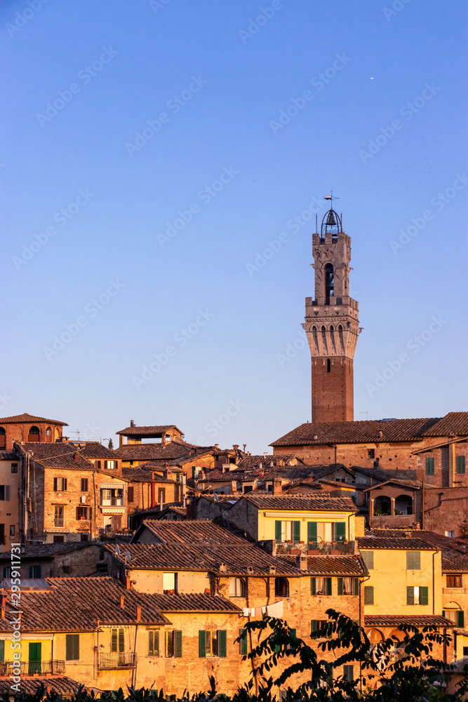 Landscape of Siena with torre del Mangia