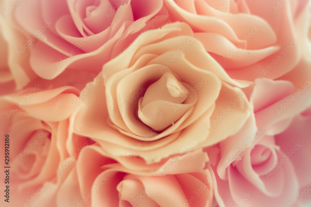 rose rose